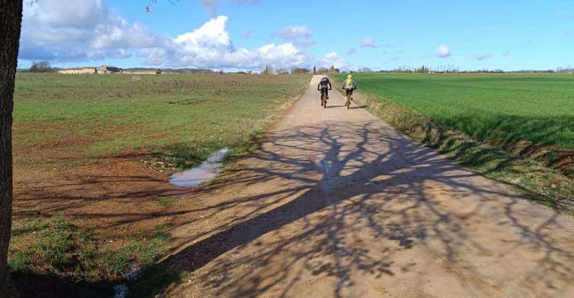 Siena: E-Bike Tour on the via Francigena With Brunch - Discovering Sienas Medieval Streets