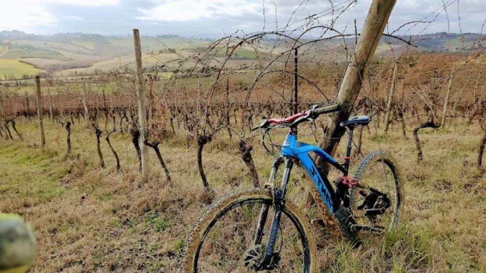 Siena: E-Bike Tour on the via Francigena With Brunch - Breathtaking Tuscan Hill Views