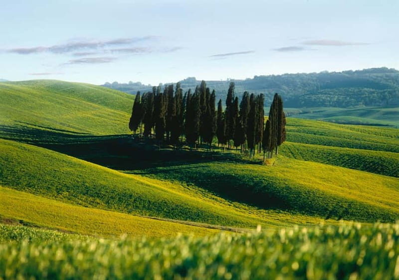 Siena: Guided visit of the city in German - Why This Tour Is a Great Choice