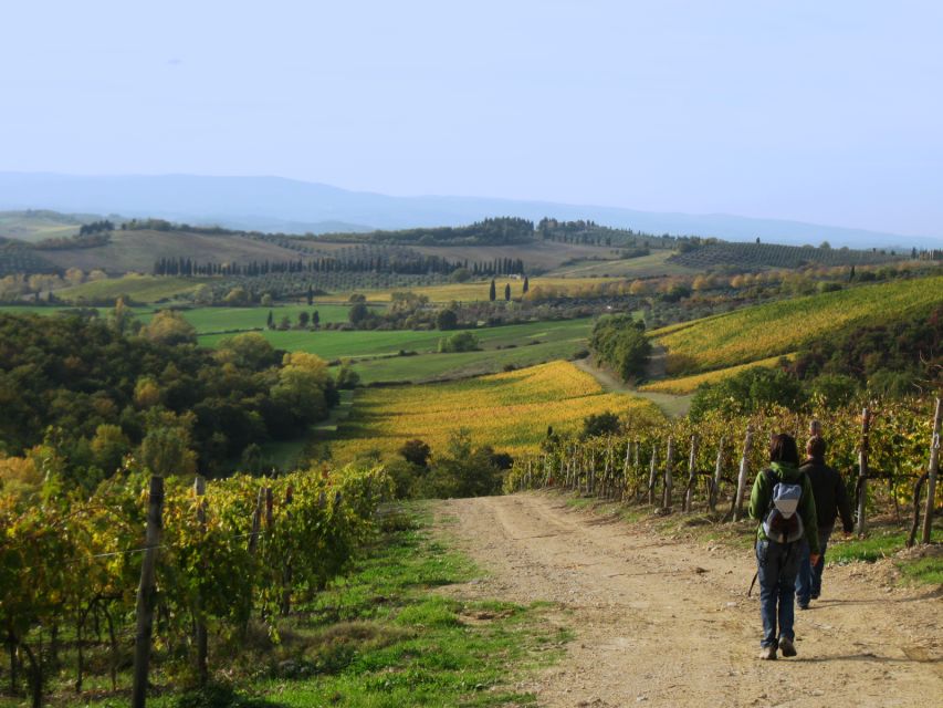Siena: Half-day Guided Hike to Monteriggioni - Experience and Highlights