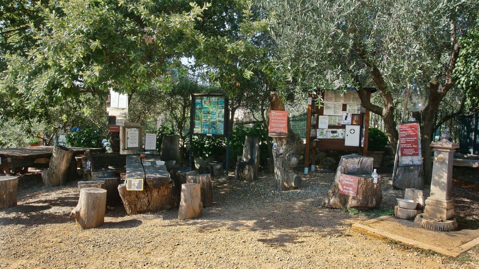 Siena: Half-day Guided Hike to Monteriggioni - What to Bring