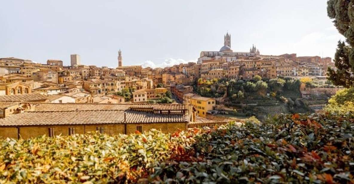 Siena : Highlights Private Walking Tour - Exploring Sienas Culture
