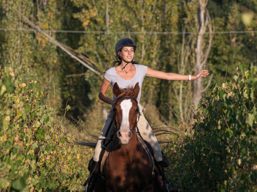 Siena: Horseback Adventure in the Tuscan Countryside - Key Points