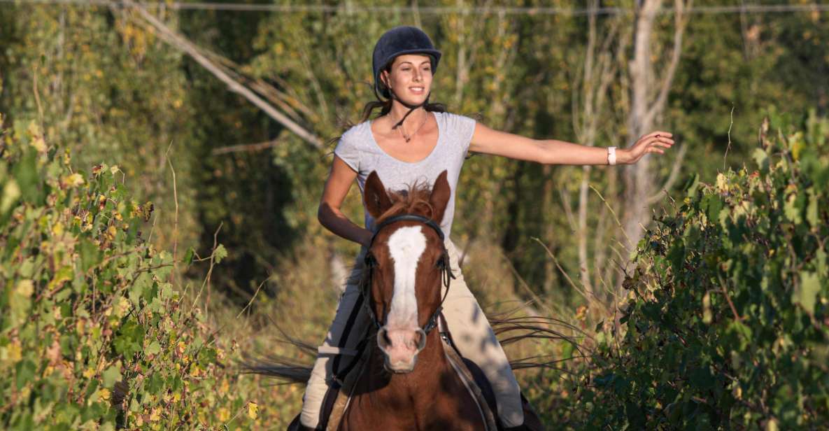Siena: Horseback Adventure in the Tuscan Countryside - Booking Details