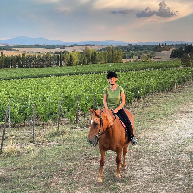 Siena: Horseback Adventure in the Tuscan Countryside - Experience Highlights