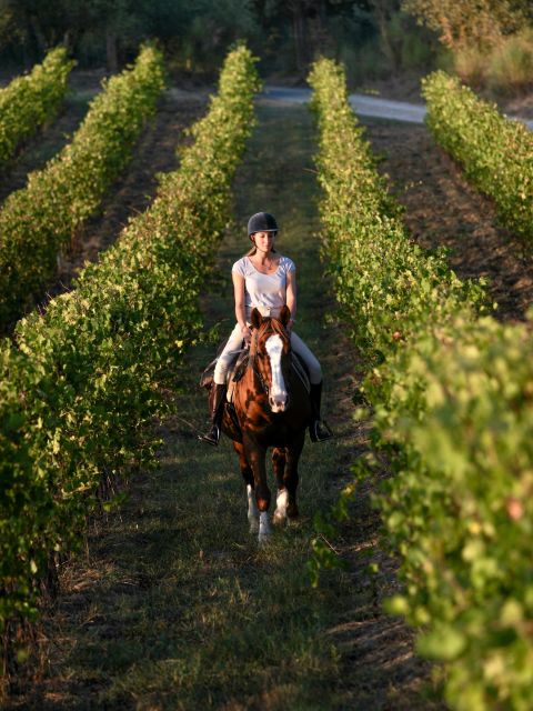 Siena: Horseback Adventure in the Tuscan Countryside - Itinerary Overview