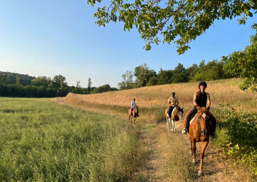 Siena: Horseback Adventure in the Tuscan Countryside - Customer Ratings