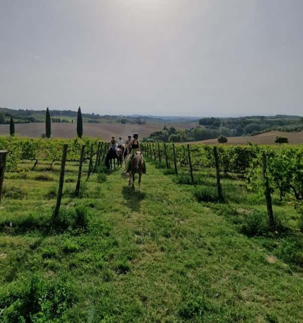 Siena: Horseback Riding Tour in the Tuscany Countryside - Exploring Tuscany from the Saddle