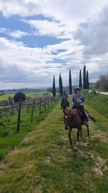 Siena: Horseback Riding Tour in the Tuscany Countryside - Authentic Reviews: What Travelers Say