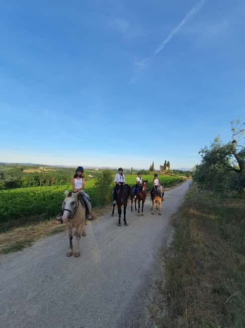 Siena: Horseback Riding Tour in the Tuscany Countryside - The Sum Up