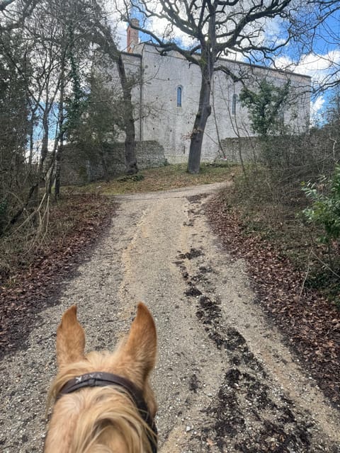 SIENA: HORSEBACK RIDING TOUR ON THE VIA FRANCIGENA - Key Points