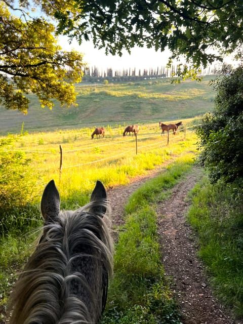 Siena: Horseback Riding with Siena in the background - Final Thoughts: Is This Experience Worth It?