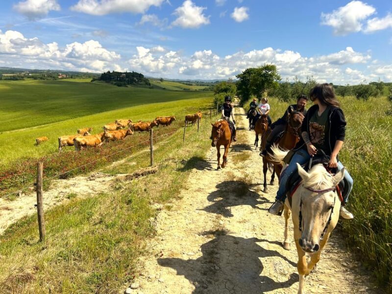 Siena: Horseback Riding with Siena in the background - FAQs