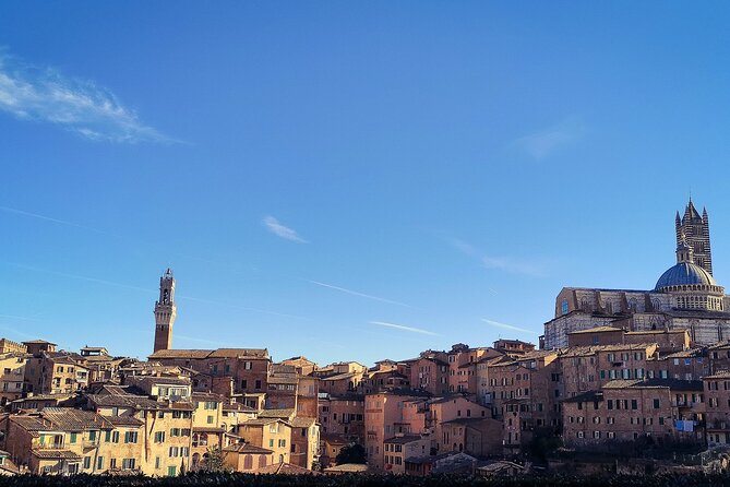 Siena Like a Local (With a Licensed Tour Guide) - Tips for a Memorable Experience