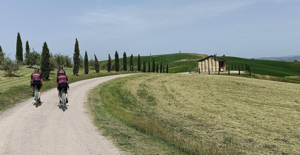 Siena: Pedaling E-Bikes to the Siena Countryside - Chianti Sculpture Park and Certosa