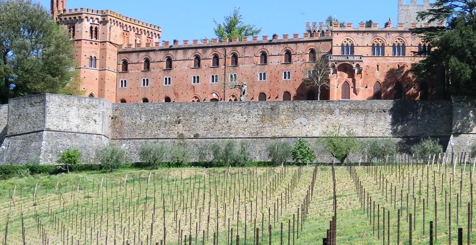 Siena: Pedaling E-Bikes to the Siena Countryside - Rental and Tour Inclusions