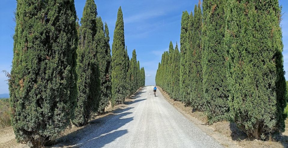 Siena: Pedaling E-Bikes to the Siena Countryside - Requirements and Restrictions