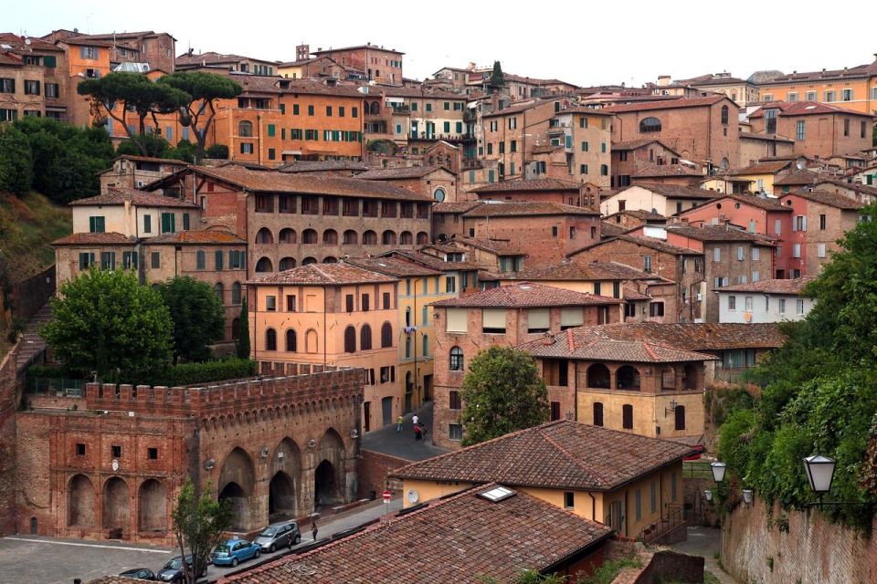 Siena: Private City Highlights Walking Tour - Immersive Cultural and Artistic Journey