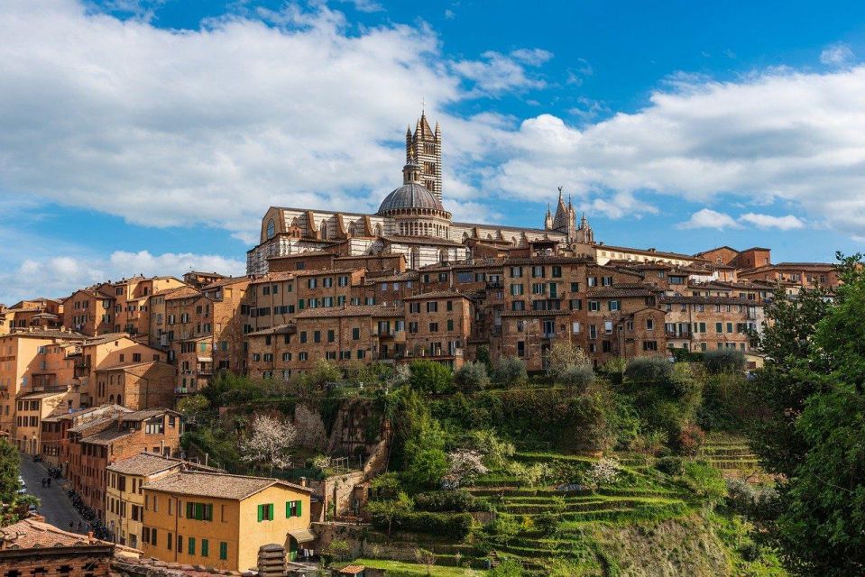 Siena: Private City Highlights Walking Tour - Guided Tour Duration and Meeting Point