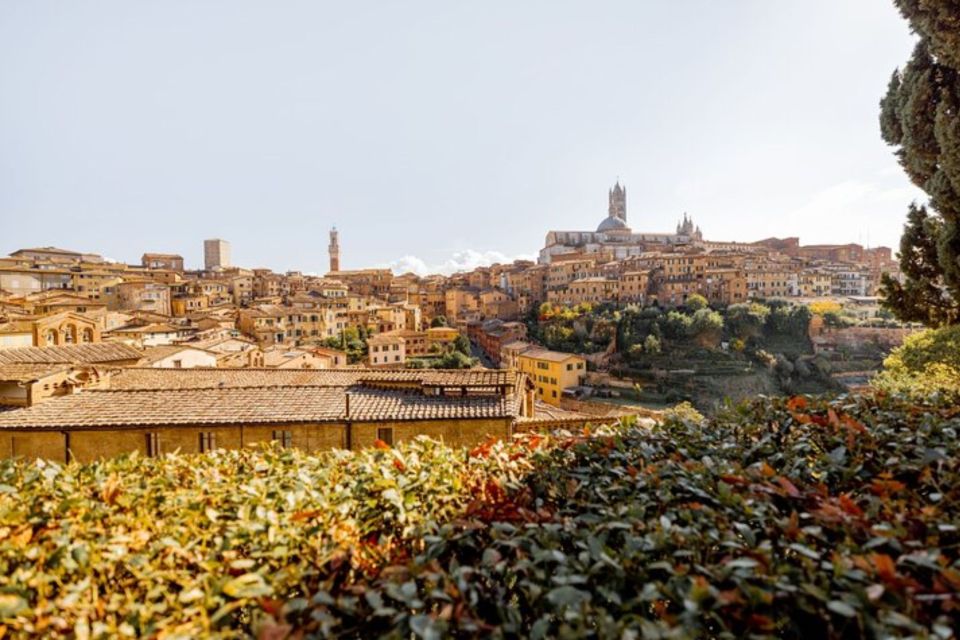 Siena: Private Custom Tour With a Local Guide - Key Points
