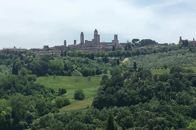 Siena, San Gimignano and Pisa From Lucca - Cancellation Policy and Importance of Commitment