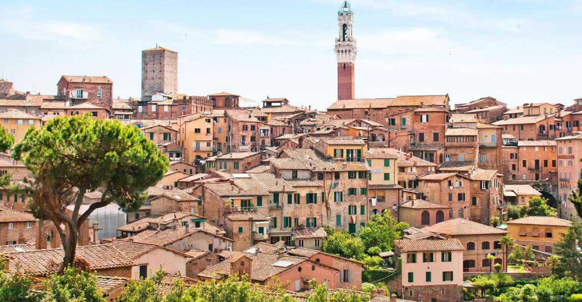 Siena, San Gimignano Chianti Wine From Pisa by Minivan - Key Points