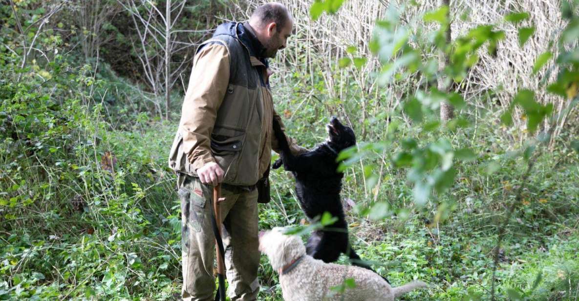 Siena - Truffle Hunting in the Evocative Sienese Woods - Key Points