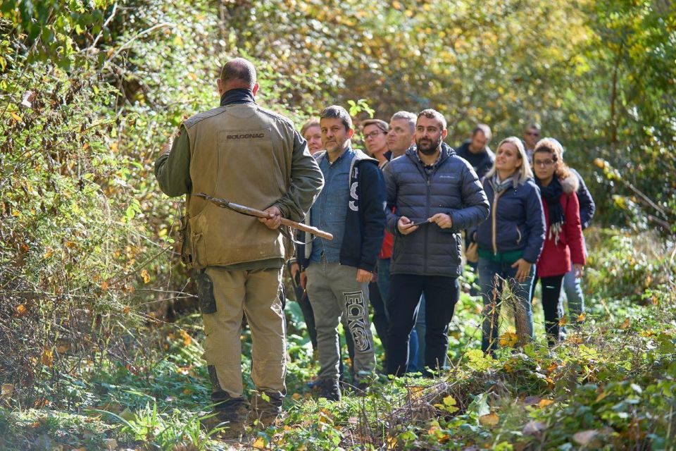Siena - Truffle Hunting in the Sienese Woods With Tasting - Key Points
