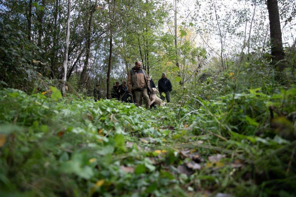 Siena - Truffle Hunting in the Sienese Woods With Tasting - Truffle Tasting