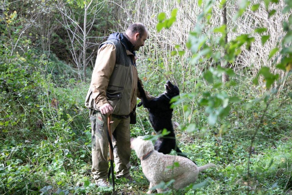 Siena - Truffle Hunting in the Sienese Woods With Tasting - Recommended Attire
