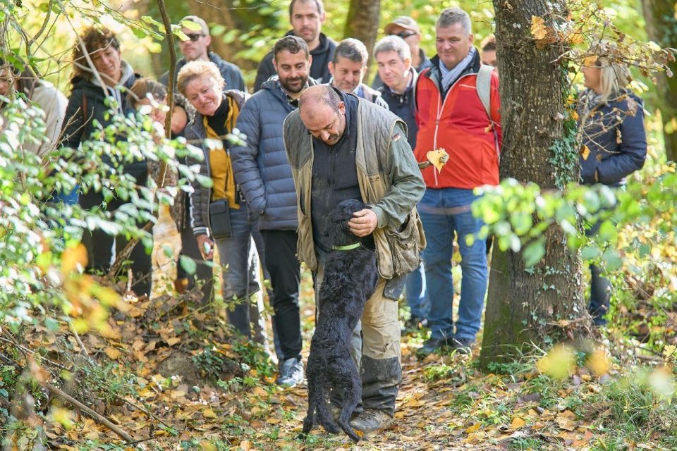Siena - Truffle Hunting in the Sienese Woods With Tasting - Frequently Asked Questions