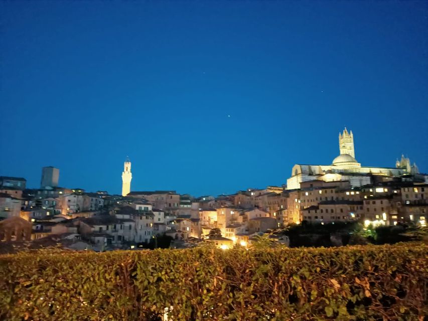Siena Underground Wine Tasting in a Medieval Cave - Wine Selection