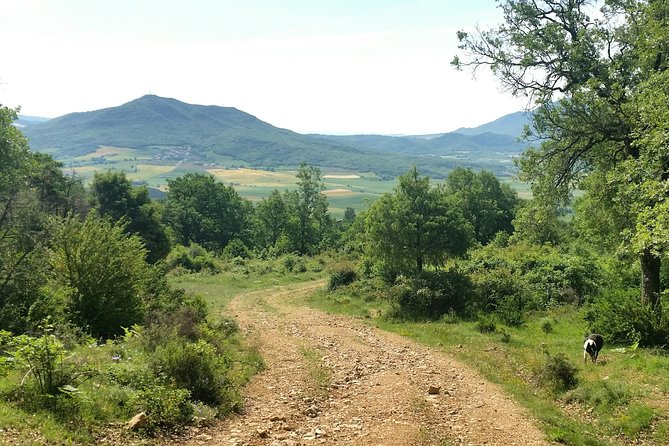 Sierra De Aracena: Grotto of Wonders, Hiking and Ecological Picnic. - Ecological Picnic and Local Cuisine