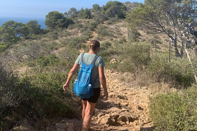 Sierra de Tramuntana hike with transportation and small picnic - FAQ