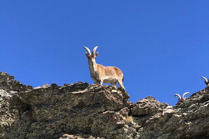 Sierra Nevada 4WD Safari Small Group Tour From Granada - Pricing Details