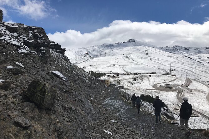 Sierra Nevada 4WD Safari Small Group Tour From Granada - Customer Reviews