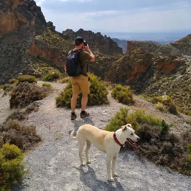 Sierra Nevada Canyon Hike with Pup Guide - Why This Tour Might Be Perfect for You