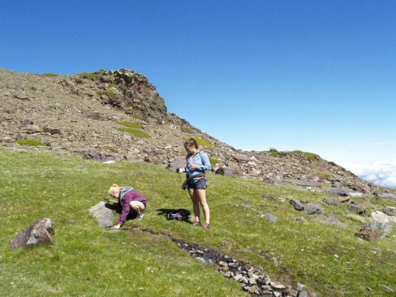 Sierra Nevada: Hike to 3000 Meters (Snowshoeing in Winter) - Booking Information