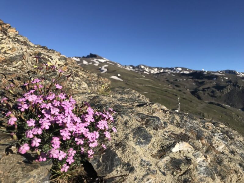 Sierra Nevada: Hike to 3000 Meters (Snowshoeing in Winter) - What to Bring and Wear