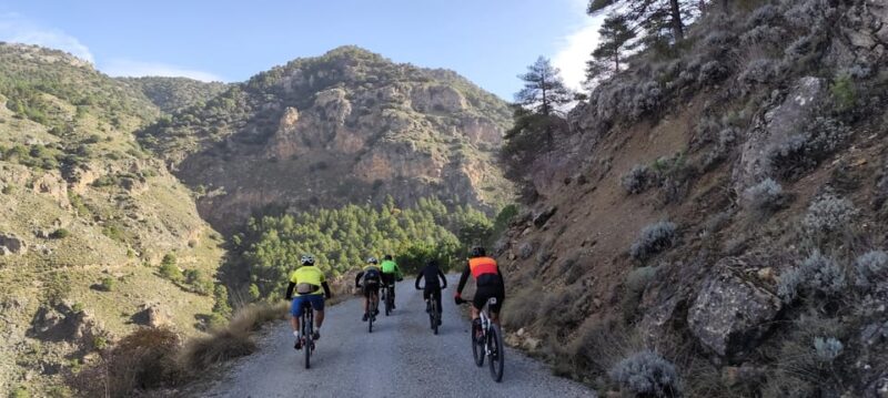Sierra Nevada Small Group BIKE Tour - Inclusion and Equipment