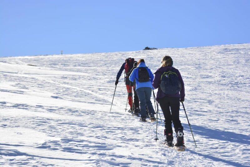 Sierra Nevada: Snow Tour at 3,000m of Altitude - Itinerary and Highlights
