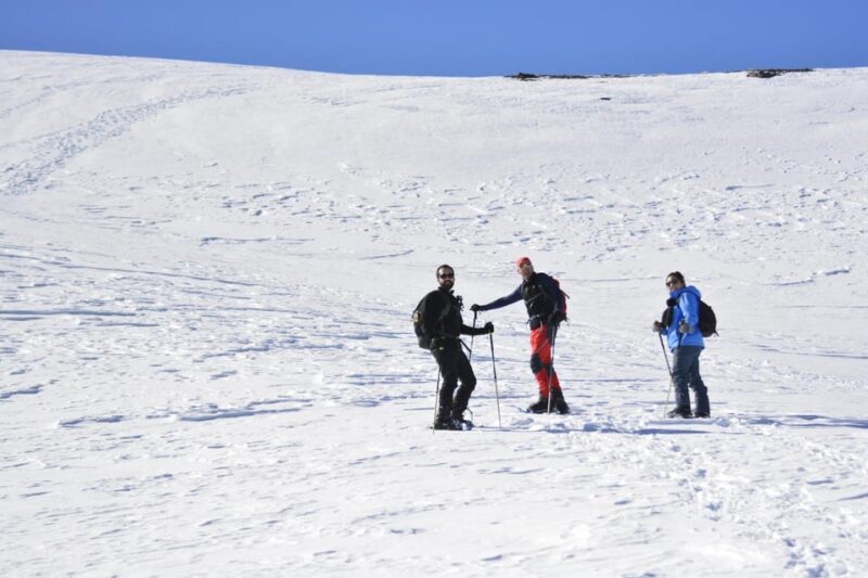 Sierra Nevada: Snow Tour at 3,000m of Altitude - Included in the Tour