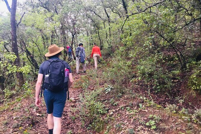 Sierra Norte 1 Day Guided Hiking - Review of Sierra Norte 1 Day Guided Hiking: Authentic Nature and Culture Close to Oaxaca