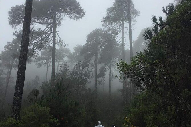 Sierra Norte 1 Day Guided Hiking - Final Thoughts: Is It Worth It?