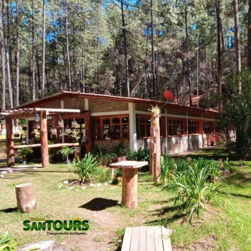 Sierra Norte: Eco Adventure Tour - Crafting Wooden Grinders: Preserving Artisanal Heritage