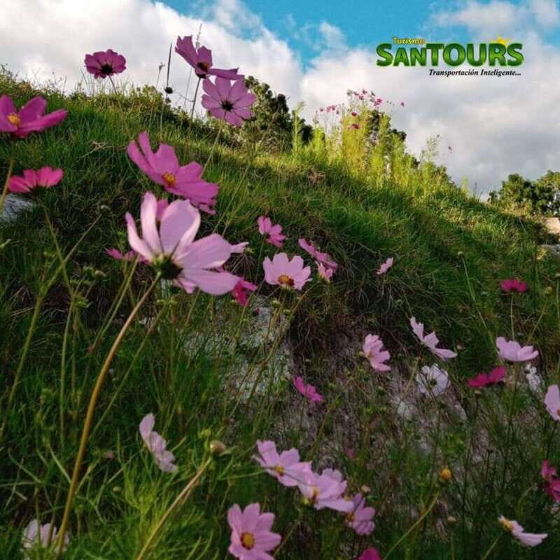 Sierra Norte: Eco Adventure Tour - Ecoturixtlán Park: Nature’s Playground