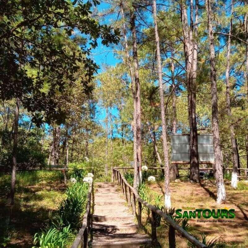 Sierra Norte: Eco Adventure Tour - Who Will Love This Tour?