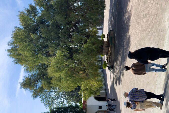 Sierra Norte: Full day tour - Pricing and Value