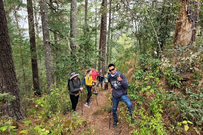 Sierra Norte Hike and Indigenous Village Full-Day Adventure - Practical Tips and Considerations