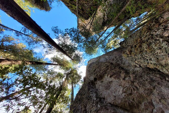 Sierra Norte Hike and Indigenous Village Full-Day Adventure - Who Should Consider This Tour?